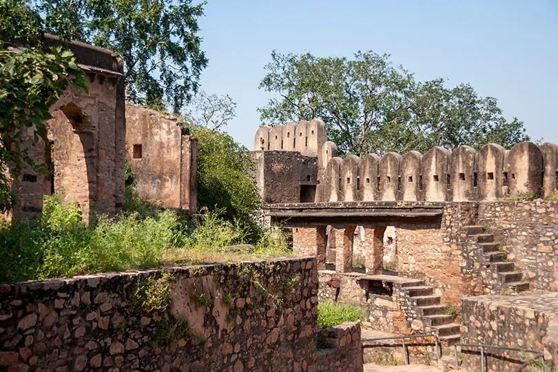 Ranthambore landscape and wildlife habitat